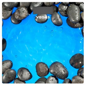 vegas-vfs-3505fs